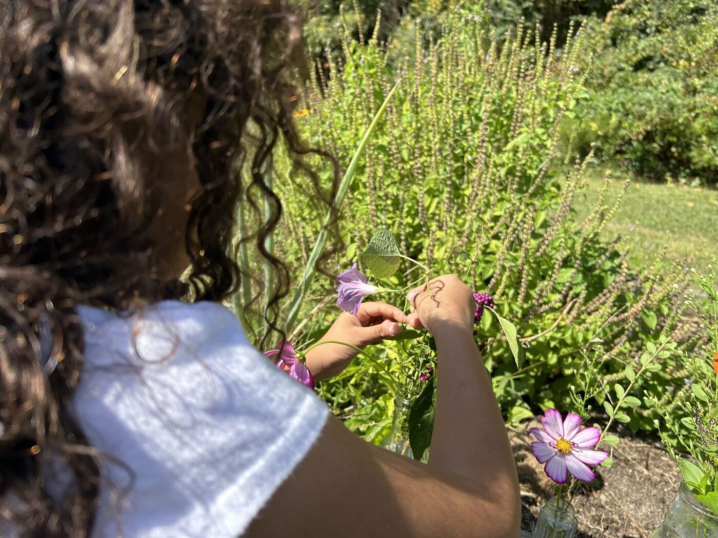 Hands gathering cosmos and basil stems in the garden, seen over a shoulder
