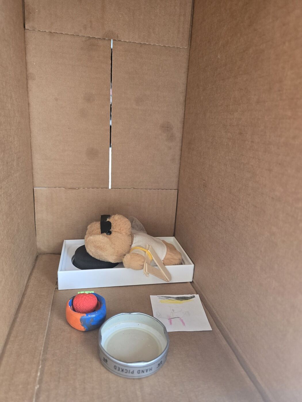 The stuffed bear resting in a cardboard hospital bed, with a bowl of water beside it