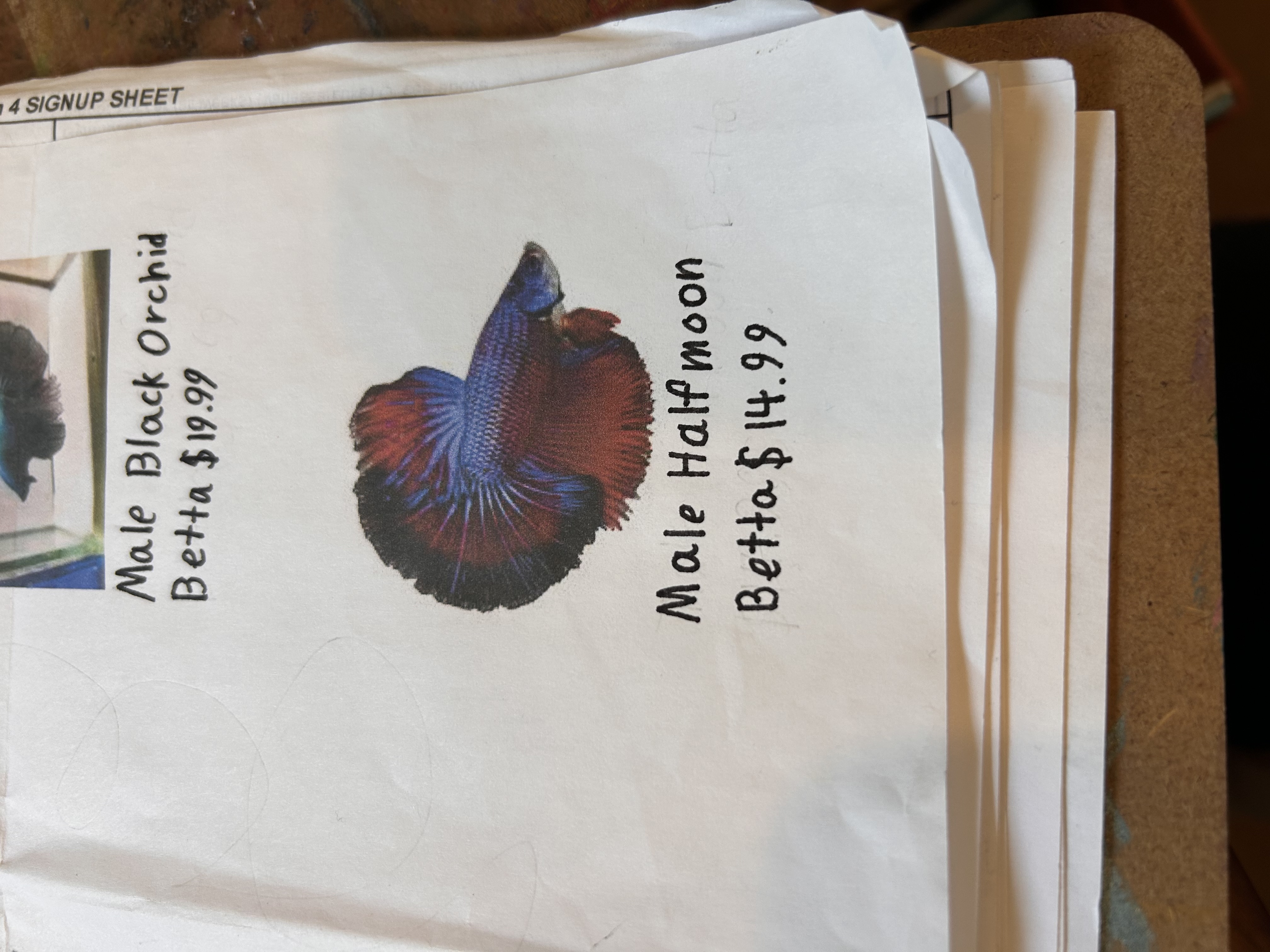 Student researching and planning project